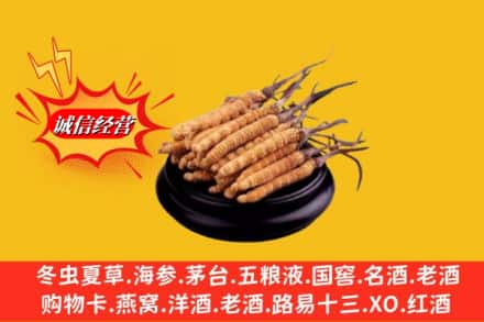 张家口阳原县求购回收虫草多少钱每克